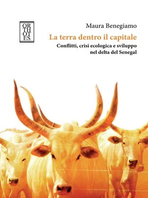 cover image of La terra dentro il capitale. Conflitti, crisi ecologica e sviluppo nel delta del Senegal